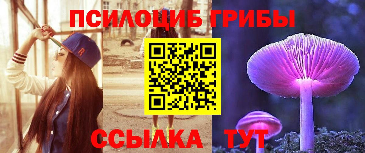 Псилоцибиновые грибы Magic Shrooms  Вход с VPN  Галлюциногенные грибы мицелий  Гусиноозёрск 